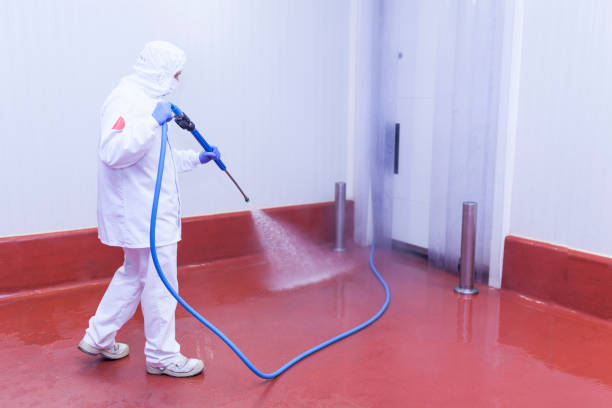 Best Pre-Holiday Cleaning  in Garden City South, NY